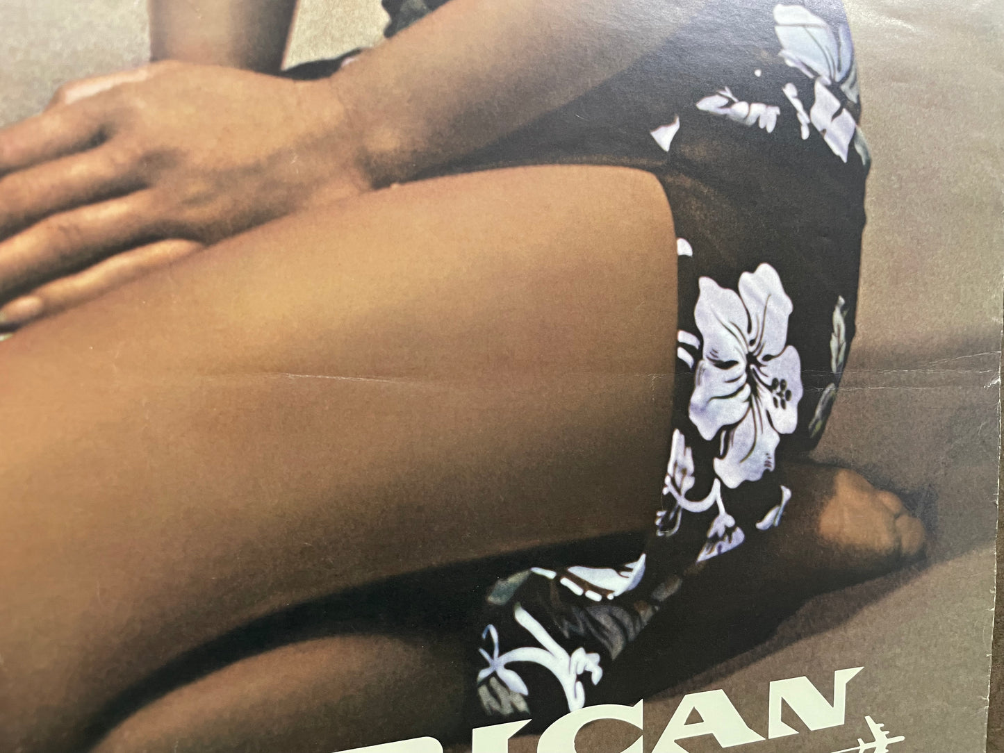 Hawaii, vintage Pan Am airline travel poster, 1964