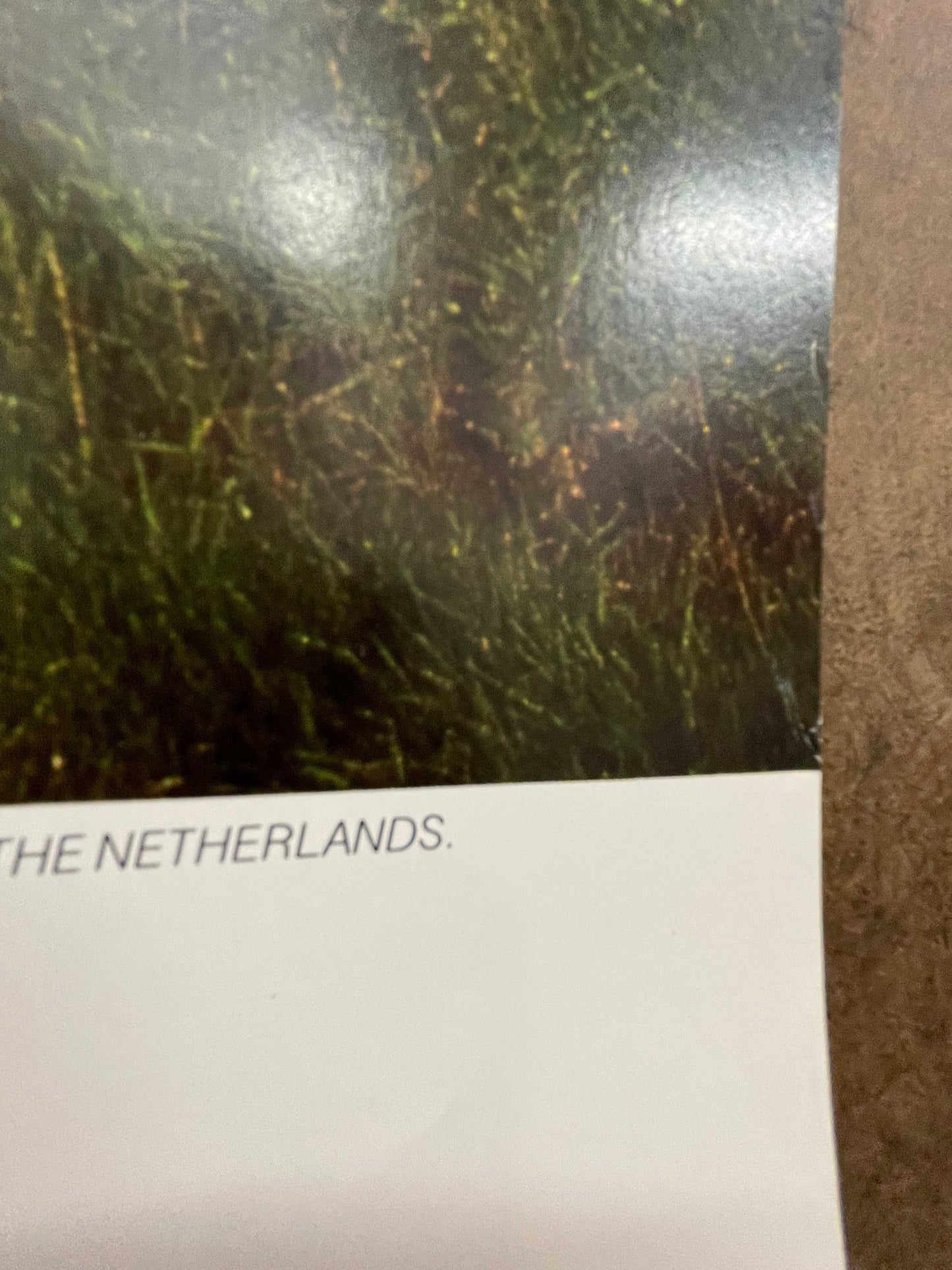 (P-AMS) Netherlands, vintage Pan Am airline travel poster, 1987