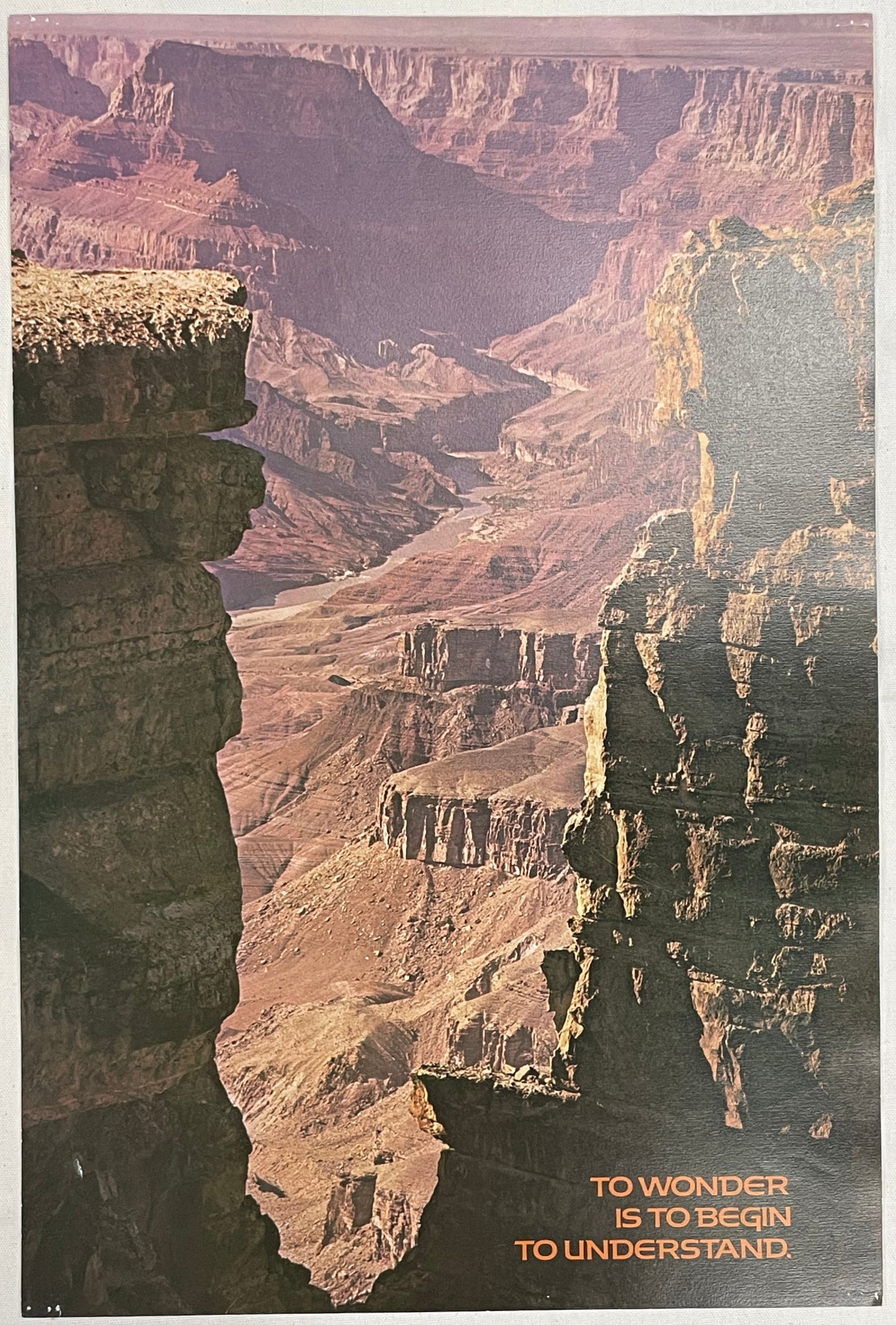 To Wonder is to Begin to Understand, vintage Argus motivational poster, #716