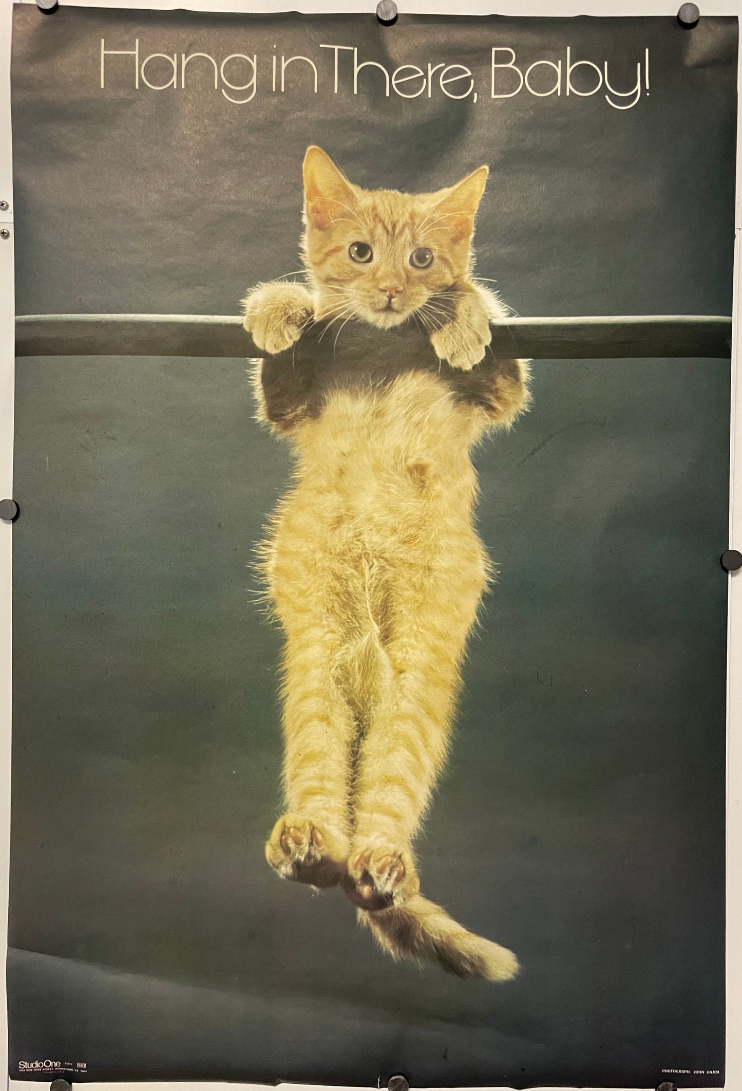 Hang In There, Baby!, (#983) vintage Motivational Commercial Poster, 1972