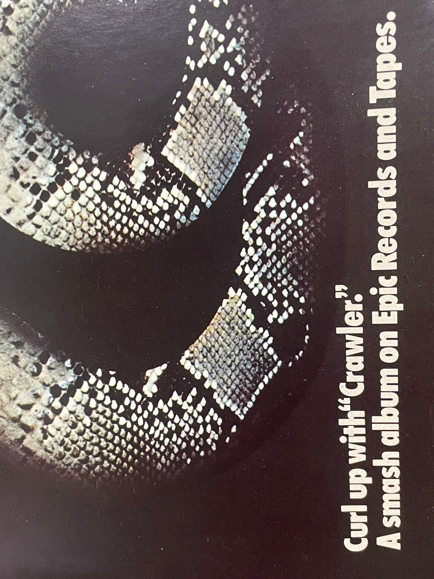 Crawler, vintage music album promo poster, 1977