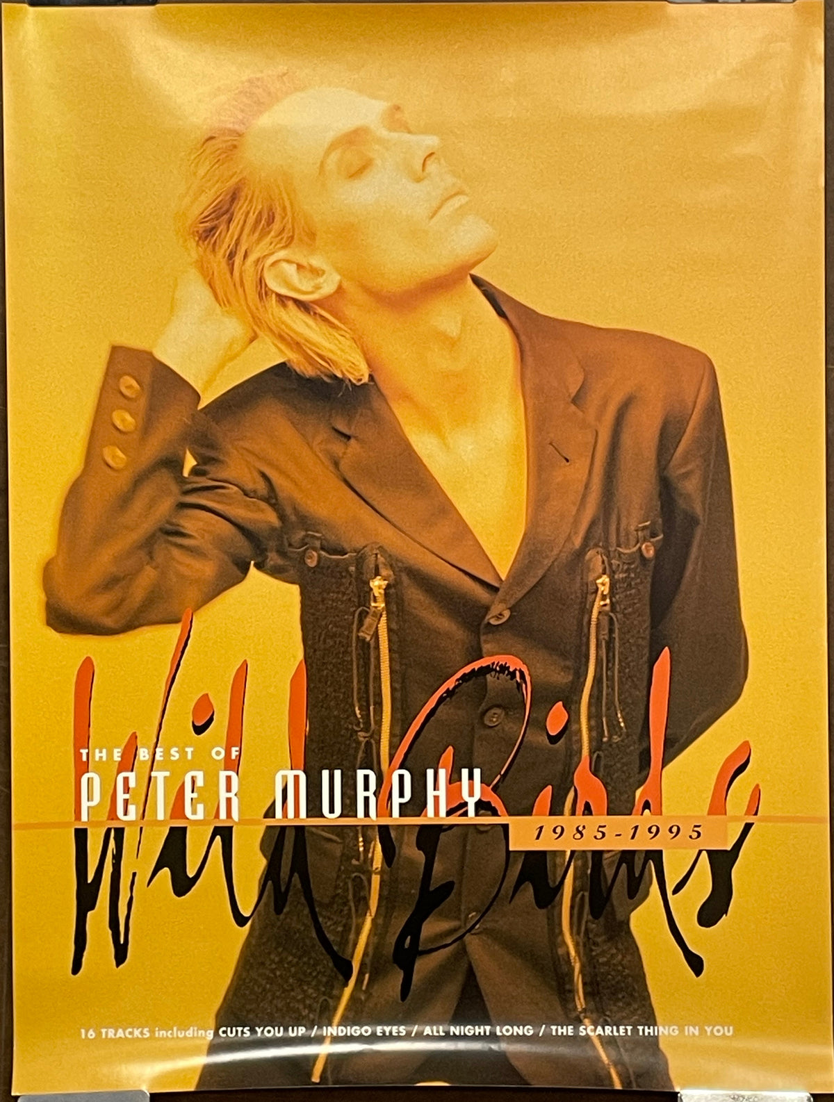 THE BEST OF PETER MURPHY 1985-1995, double-sided promo poster, 2000