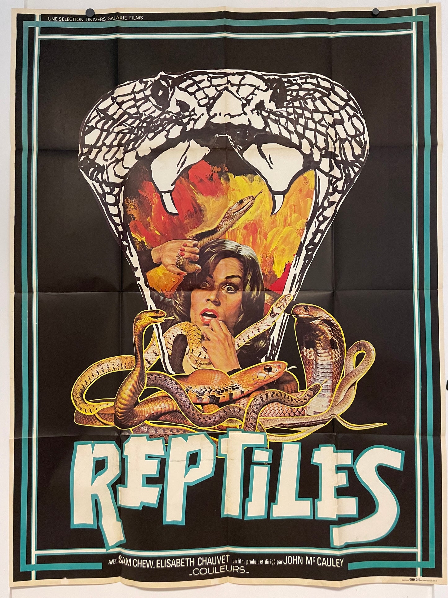 Reptiles (aka Rattlers) Original Vintage Theatrical French Movie Poster, 1976