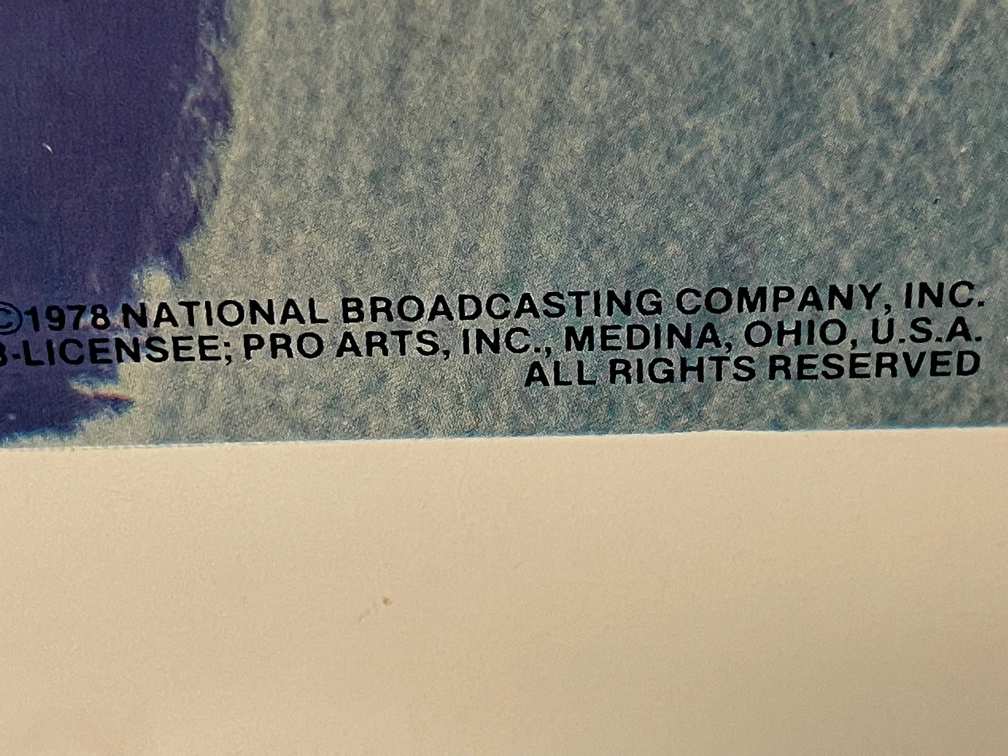 Roseanne Roseannadanna, vintage commercial poster for Saturday Night Live TV Series character, 1978