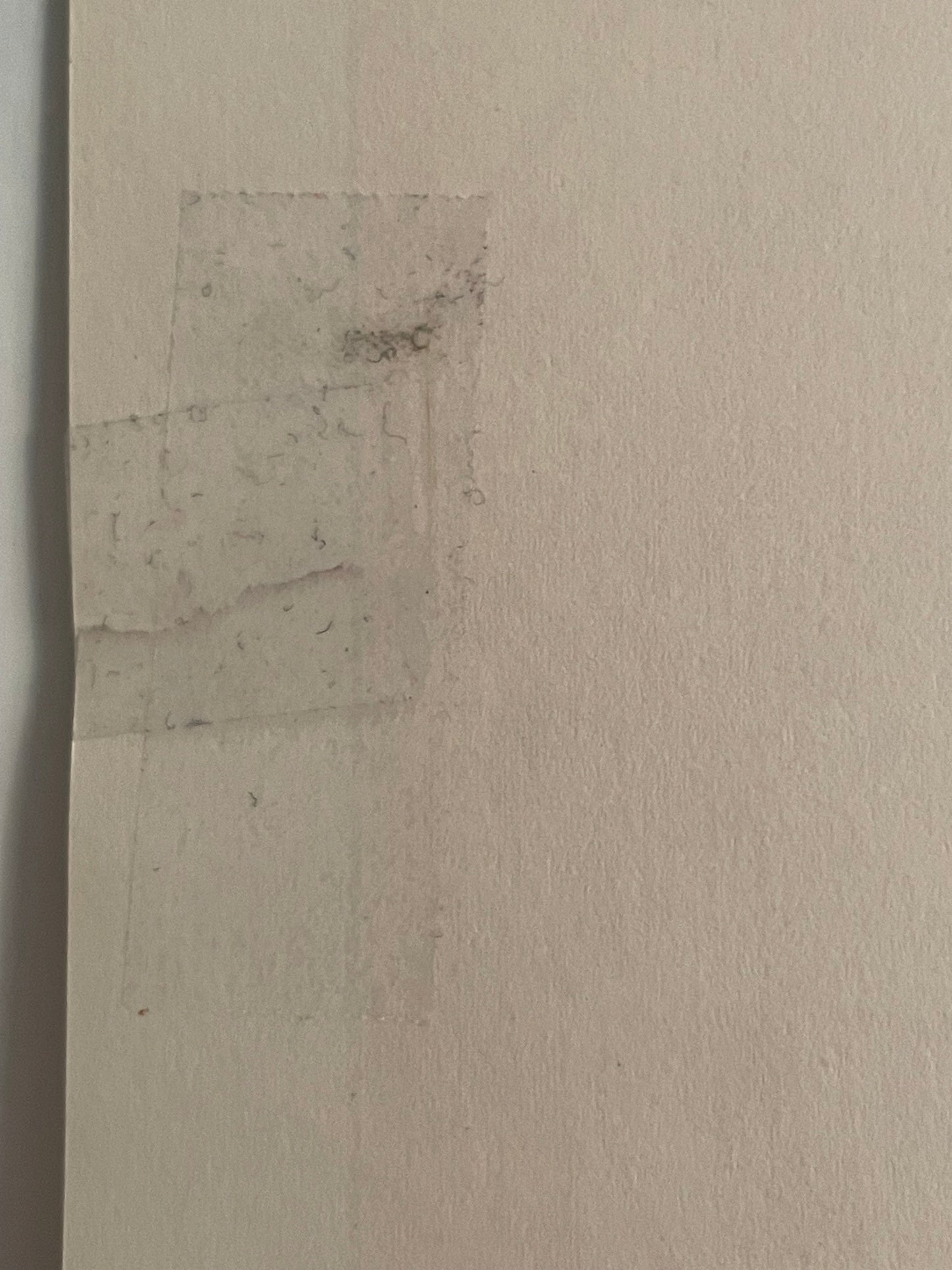 Surf's Up (Alligator) 1971 Original Vintage Poster Happiest Kid Finds