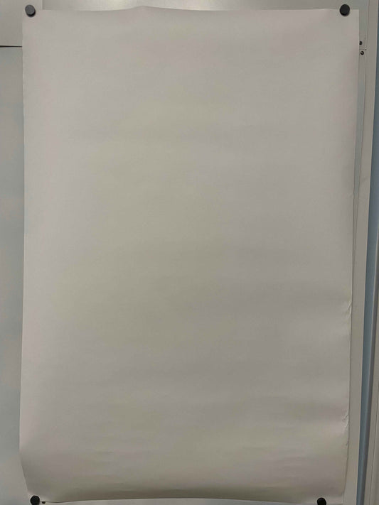 Porsche RS60 Mr. Darwin Would Be Pleased Original Showroom Poster 2008 | Happiest Kid Finds