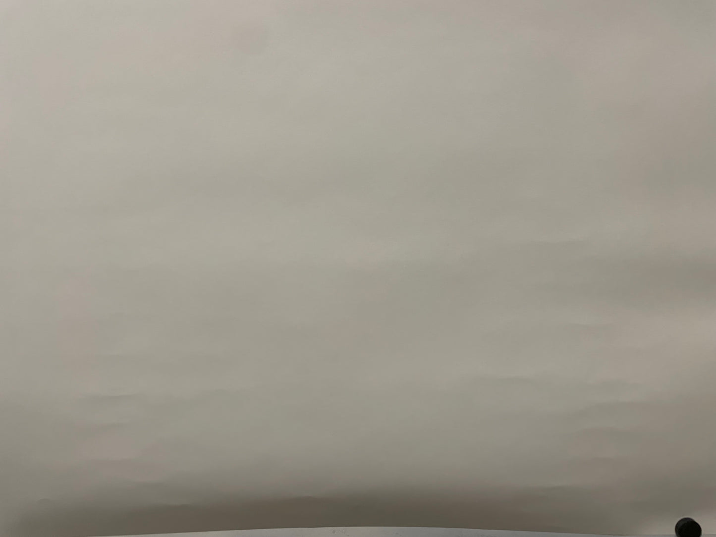 Porsche RS60, Mr. Darwin Would Be Pleased, Original Showroom Poster, 2008