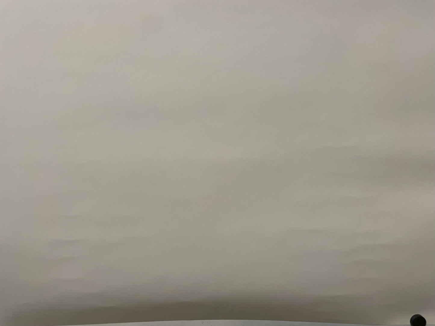 Porsche RS60, Mr. Darwin Would Be Pleased, Original Showroom Poster, 2008 Happiest Kid Finds