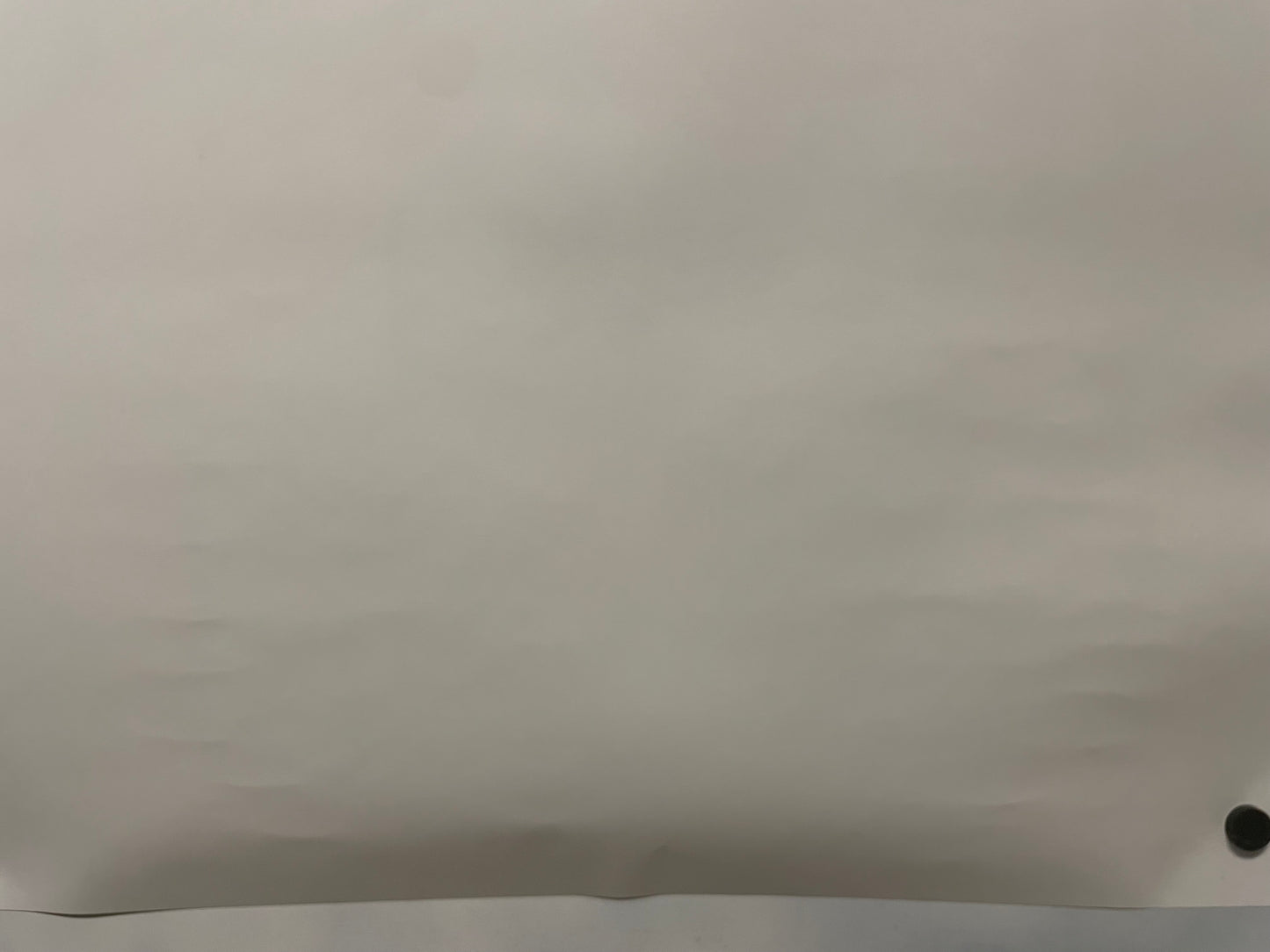 Porsche RS60, The DNA Test Came Back Positive, Original Showroom Poster, 2008