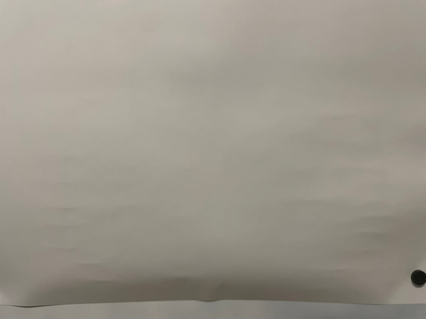 Porsche RS60, The DNA Test Came Back Positive, Original Showroom Poster, 2008 Happiest Kid Finds