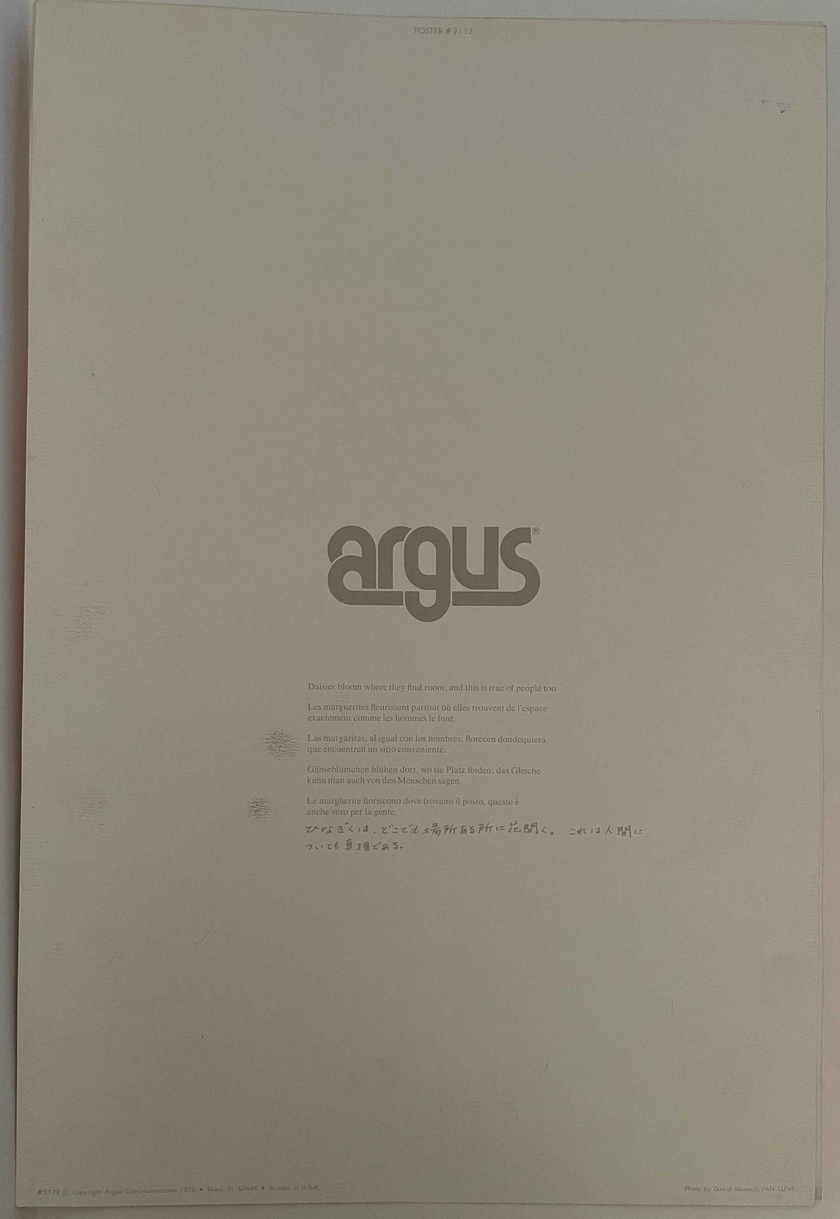 Daisies Bloom Where They Find Room, (#2113), vintage ARGUS posters, 1975
