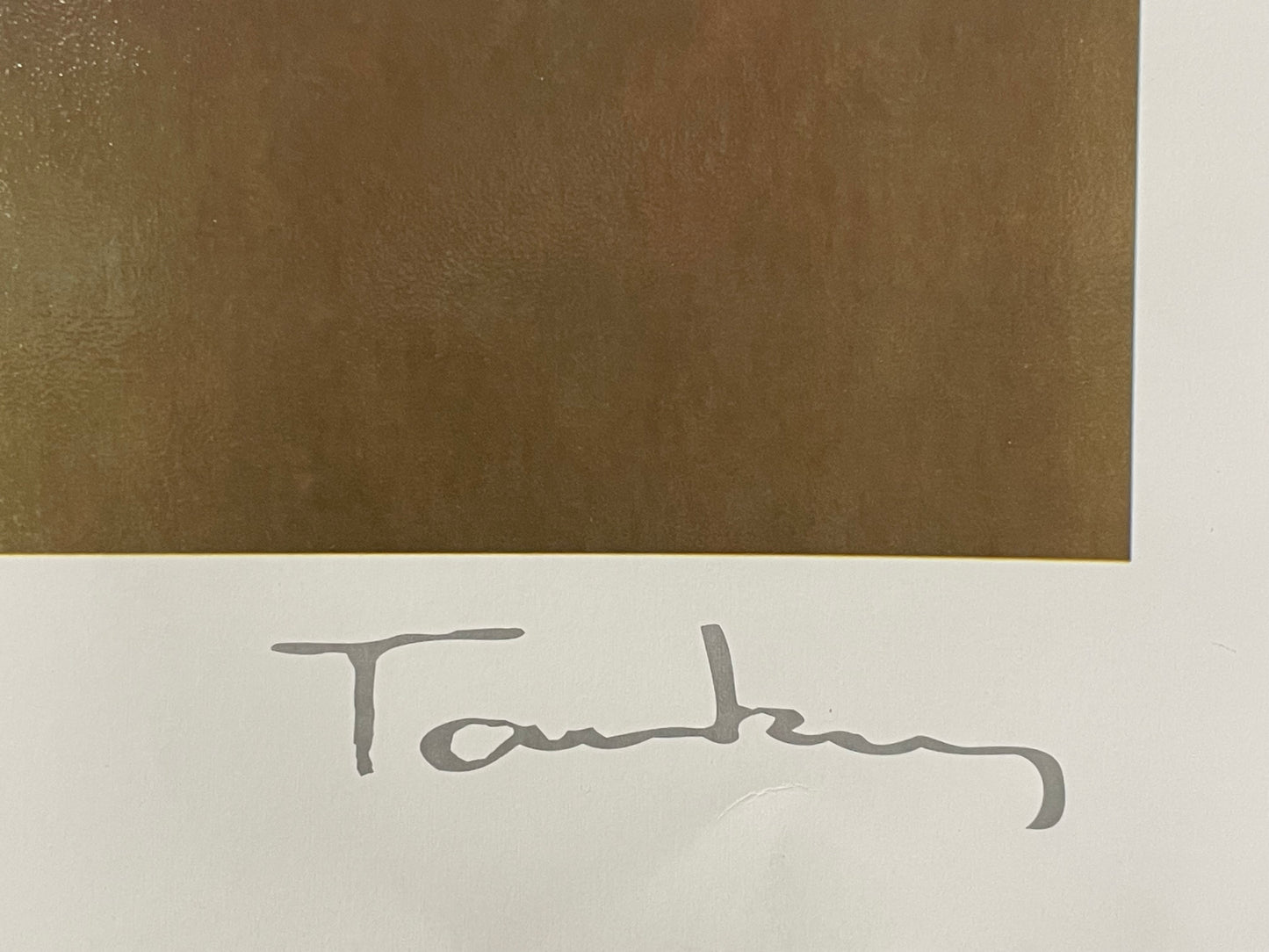 Itzchak Tarkey, Jamestown Cottage, original seriolithograph, 2013