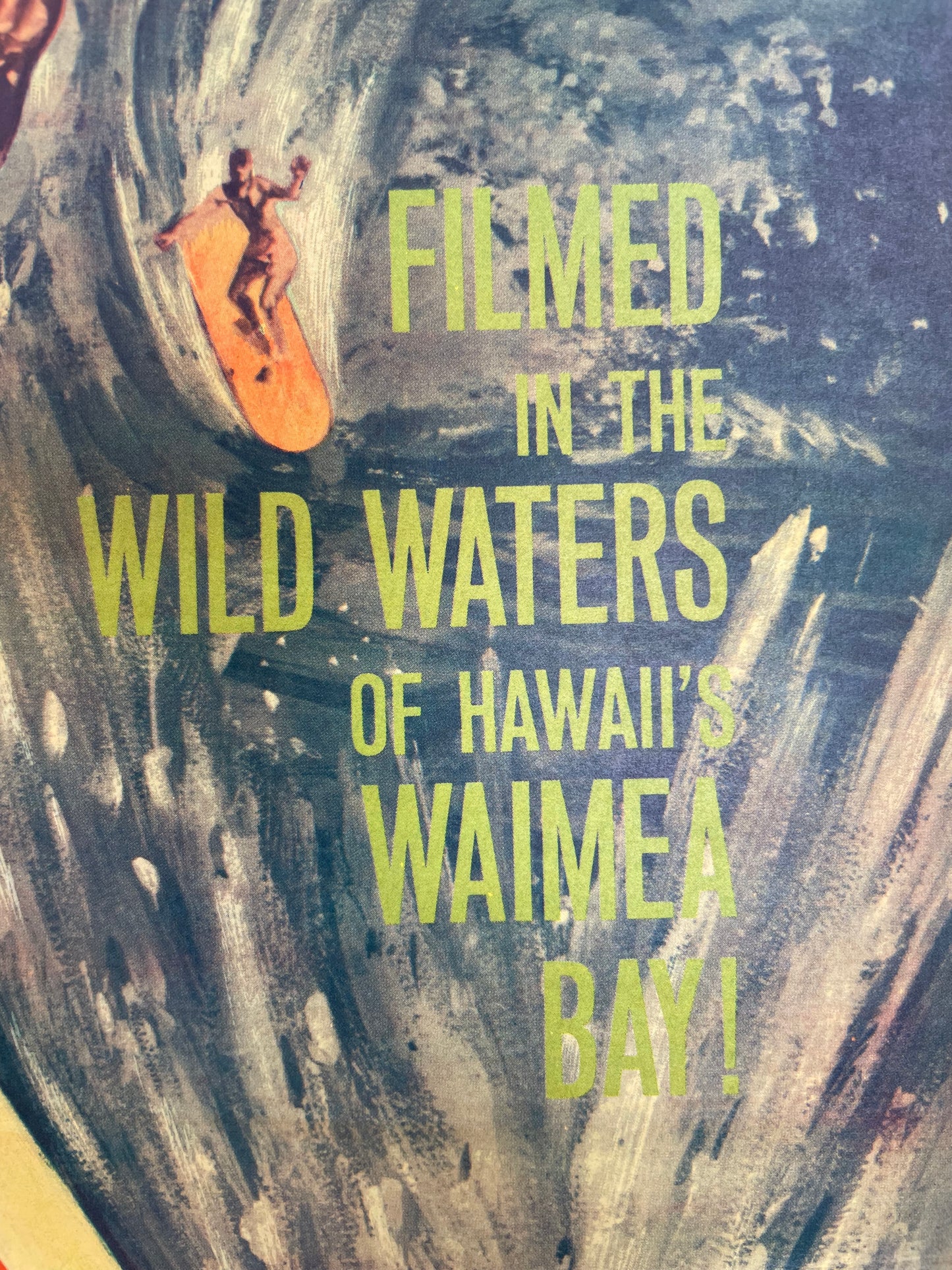 Ride the Wild Surf, tarjeta de ventana vintage, 1964
