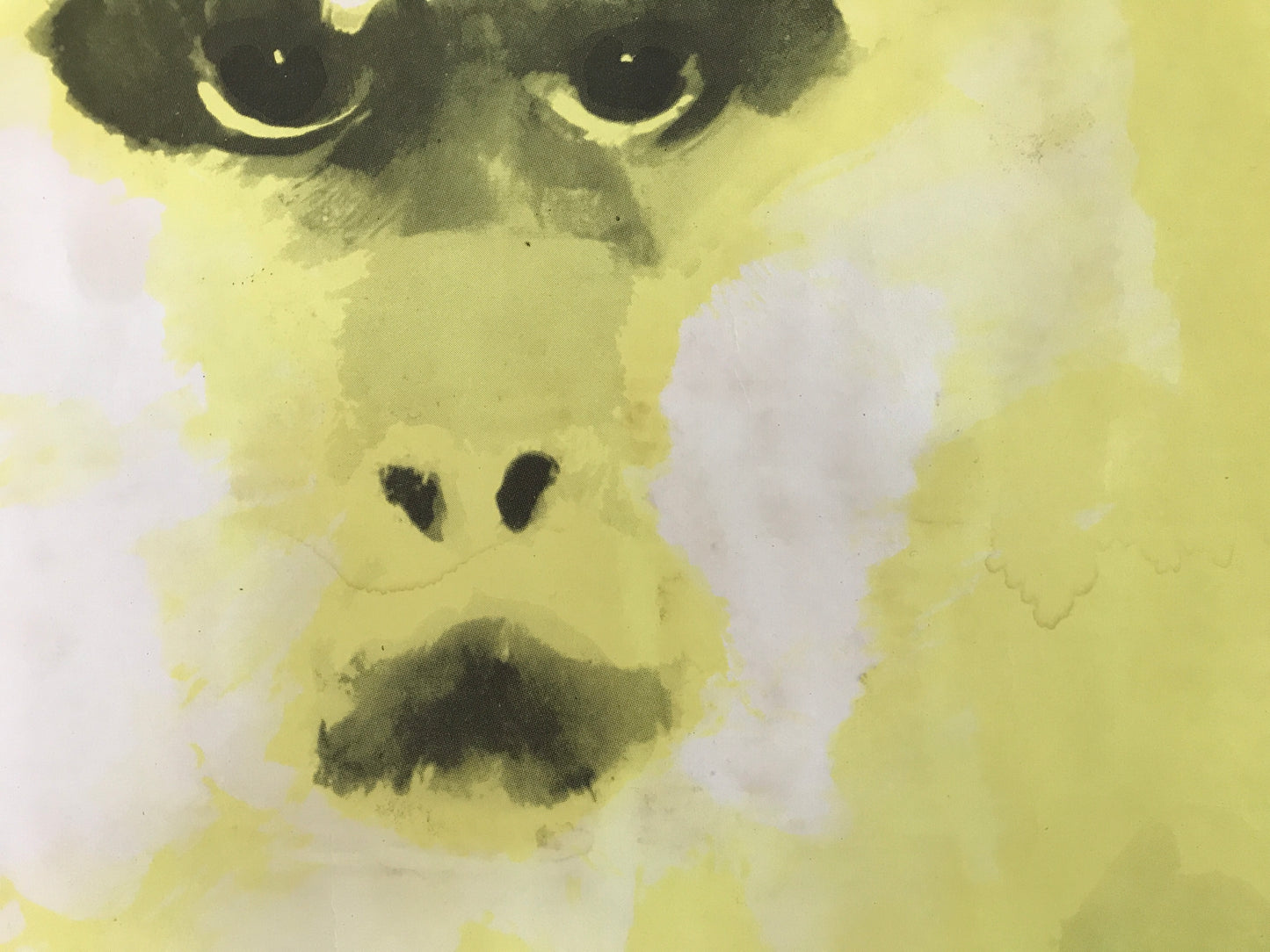 Zwiedzajcie ZOO, cartel litográfico polaco antiguo de Waldemar Swierzy, 1967