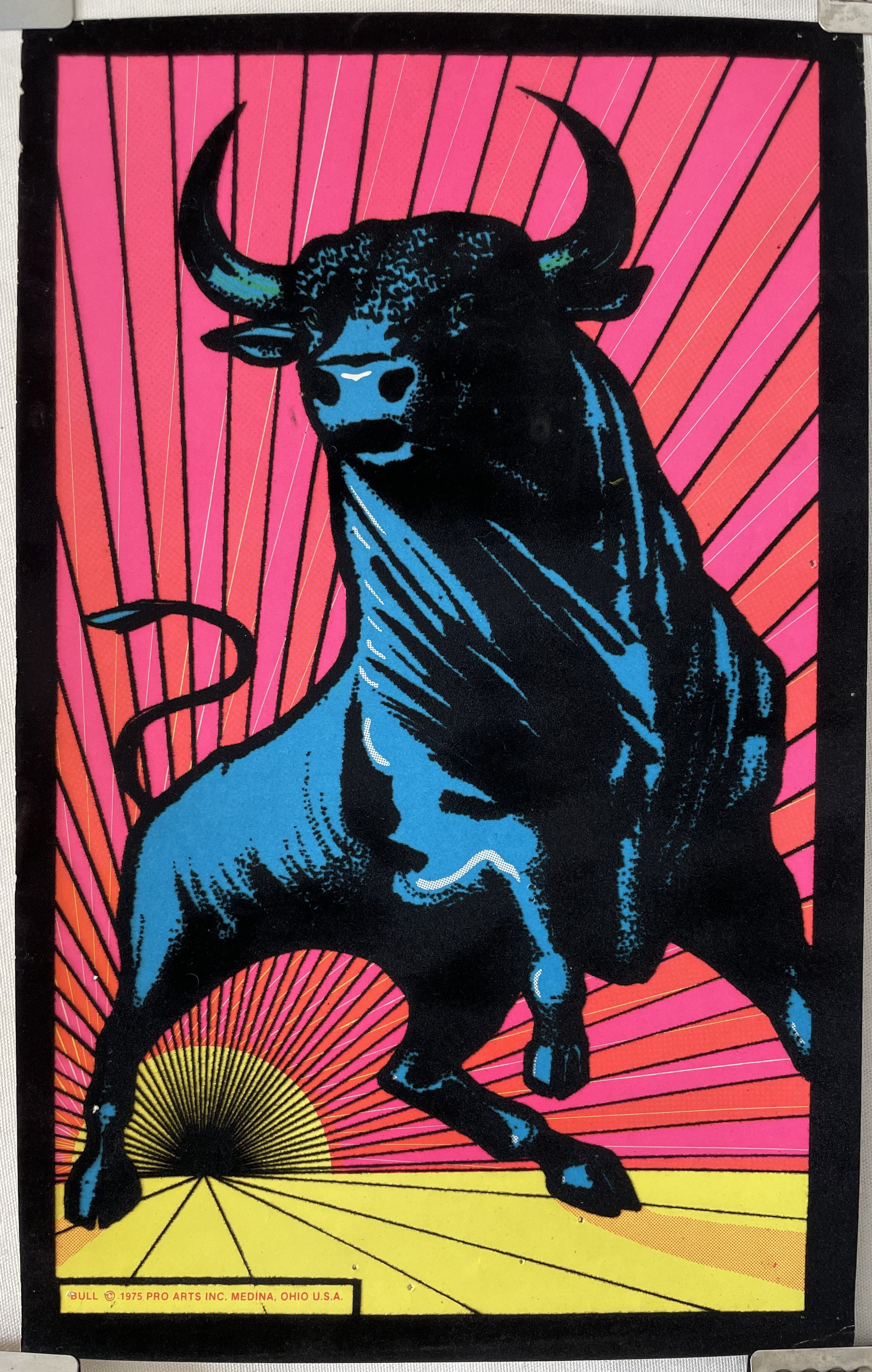 Bull, vintage flocked blacklight poster, 1975 - HAPPIEST KID FINDS - Museum-quality antique and vintage posters, original art, preservation and restoration