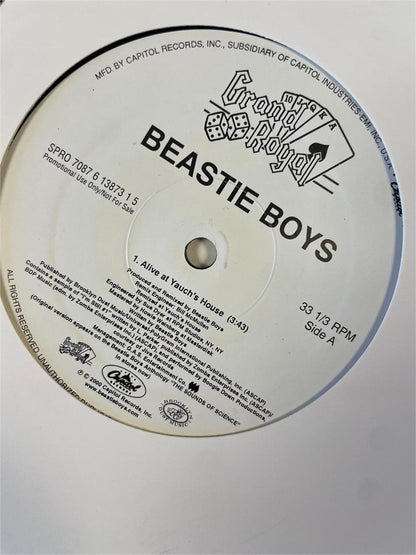 Beastie Boys - Alive at Yauch's House single 12", promo, 2000 - HAPPIEST KID FINDS - Museum-quality antique and vintage posters, original art, preservation and restoration