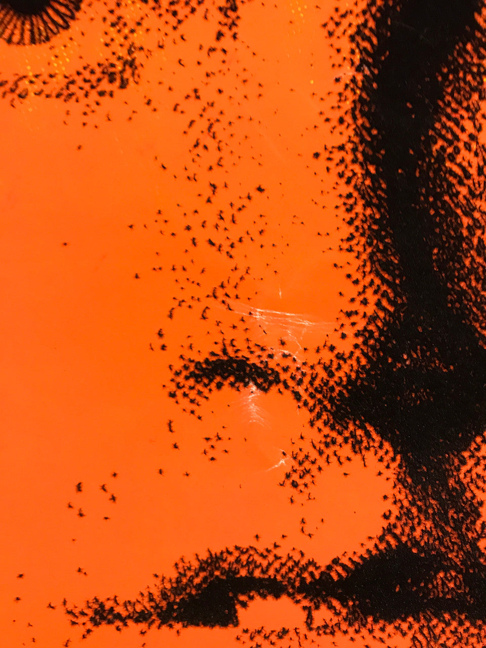 The Doors (portrait of Jim Morrison), vintage black light poster by Bob Dara, 1988 (flocked)