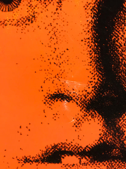 The Doors (portrait of Jim Morrison), vintage black light poster by Bob Dara, 1988 (flocked)