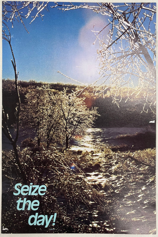 Seize the Day!, vintage Argus motivational poster #2028