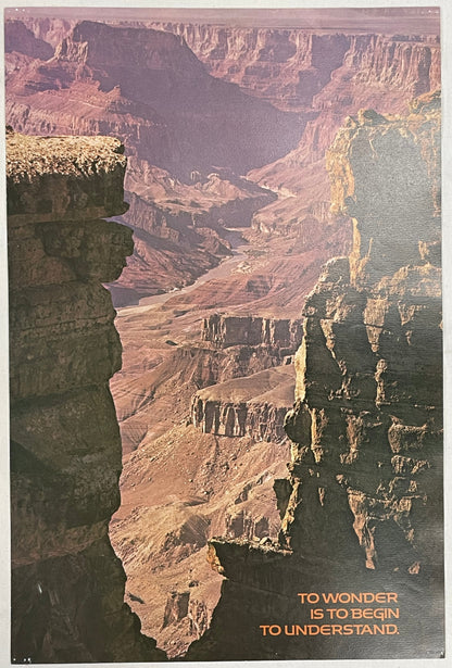 To Wonder is to Begin to Understand, vintage Argus motivational poster, #716