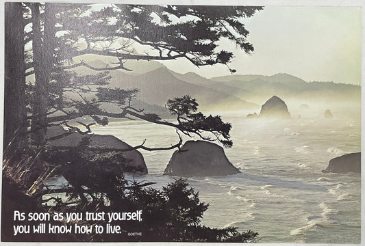 As Soon As You Trust Yourself, You Will Know How to Love., vintage Argus motivational poster, #659