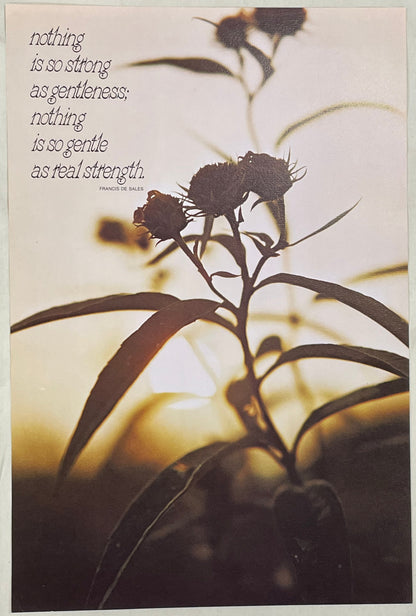 Nothing is So Strong as Gentleness;, vintage Argus Motivational Poster #754
