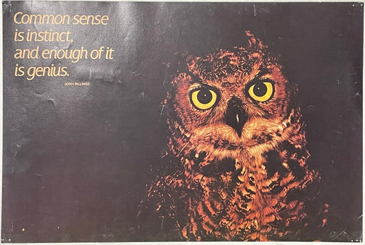 Common Sense is Instinct, and Enough of it is Genius., vintage Argus Motivational Poster #2173