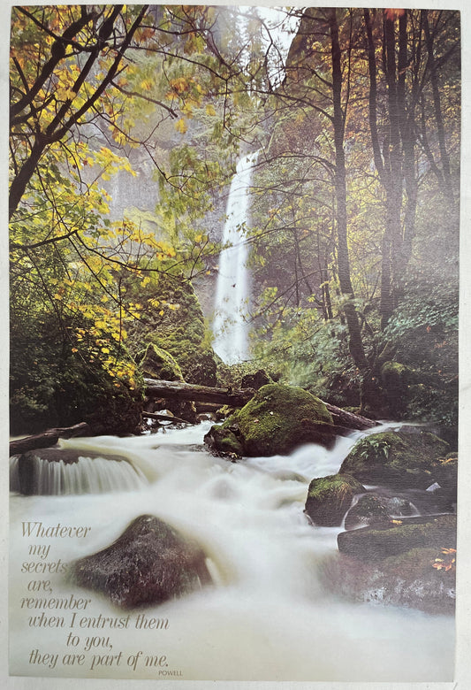 Whatever My Secrets Are.., vintage Argus Motivational Poster #2235