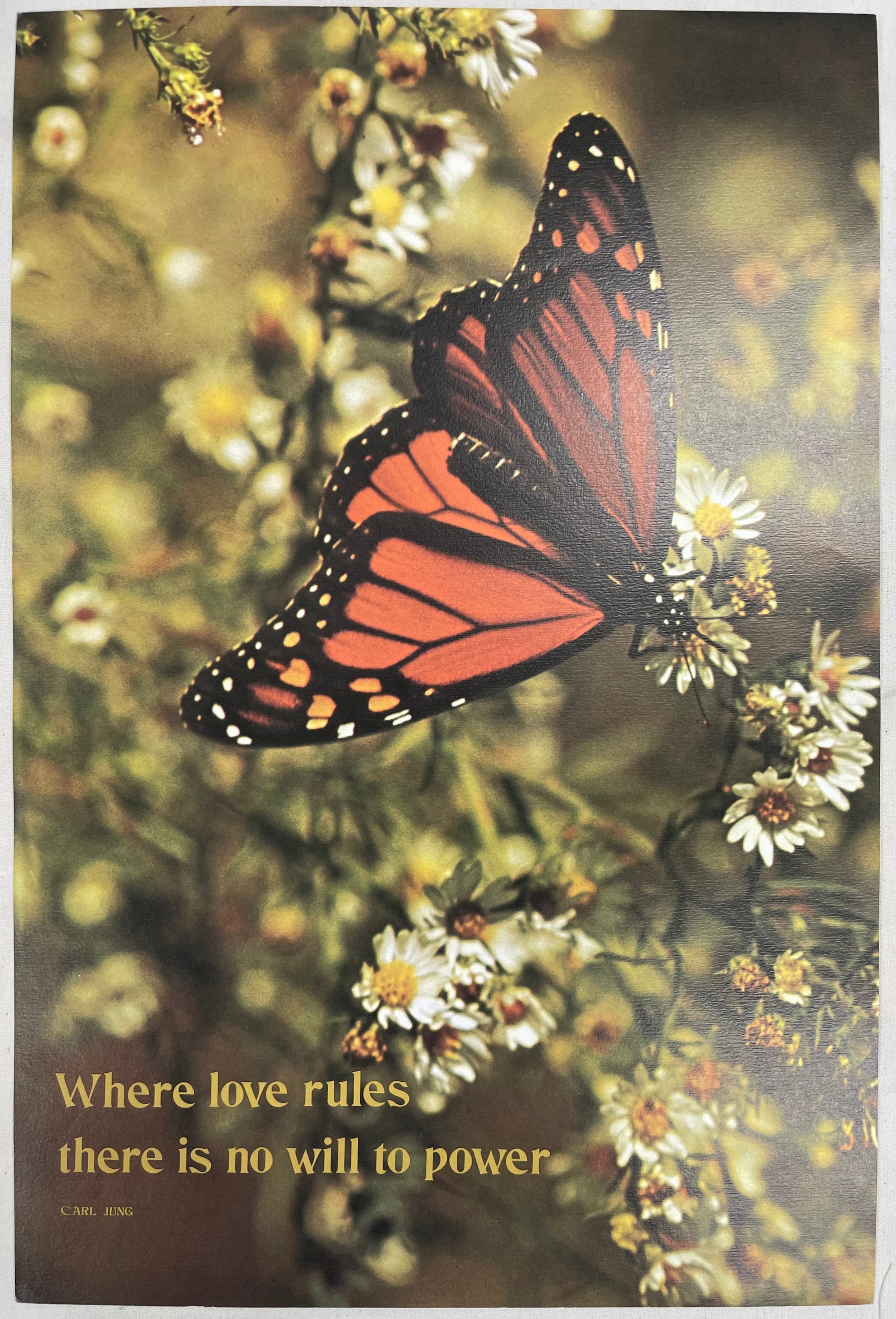Where Love Rules There is No Will to Power., vintage Argus Motivational Poster #463