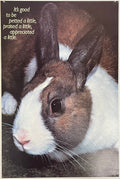 It's Good to be Petted a Little, Praised a Little, Appreciated a Little., (#892)