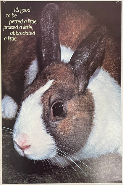 It's Good to be Petted a Little, Praised a Little, Appreciated a Little., (#892)
