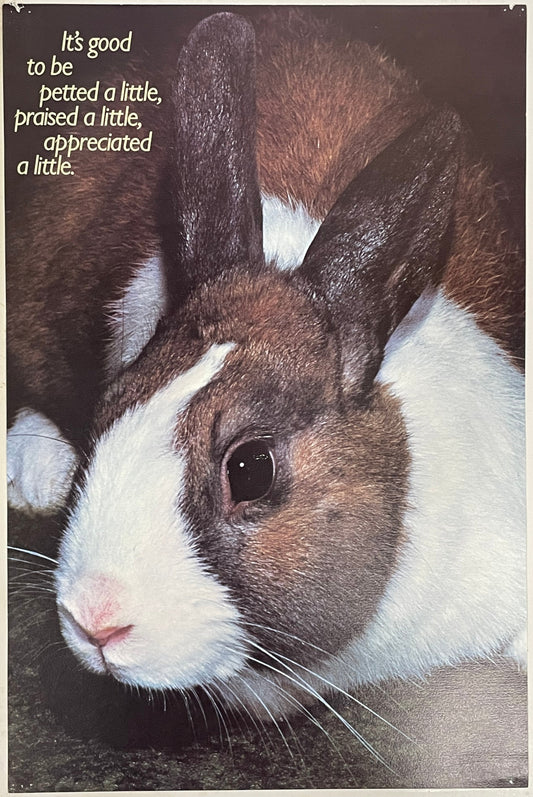 It's Good to be Petted a Little, Praised a Little, Appreciated a Little., (#892)