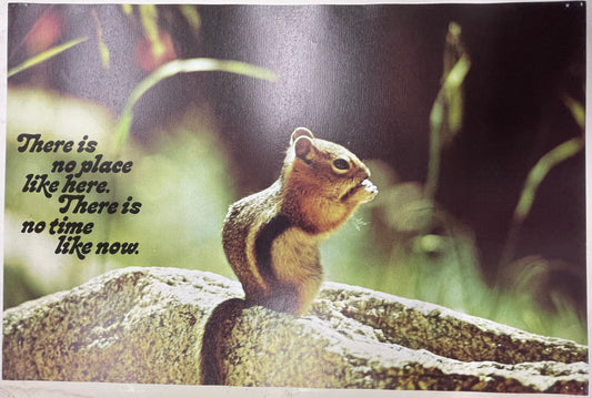 There is No Place Like Here. There is No Time Like Now., vintage Argus Communications Motivational Poster 2035