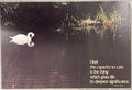 I Feel the Capacity to Care is the Thing Which Gives Life Its Deepest Significance., (#2177) vintage Argus Communications Motivational Poster 2177