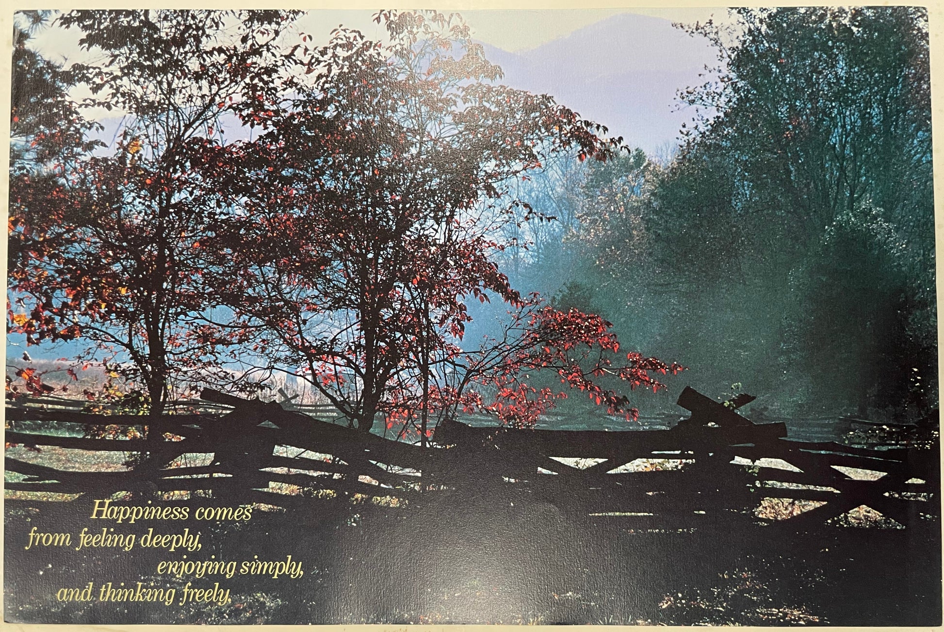 Happiness Comes From Feeling Deeply, Enjoying Simply, and Thinking Freely.,  vintage Argus Communications Motivational Poster #2251