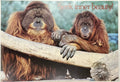 Seek Inner Beauty., vintage Argus Communications Motivational Poster #2155