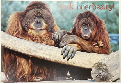 Seek Inner Beauty., vintage Argus Communications Motivational Poster #2155