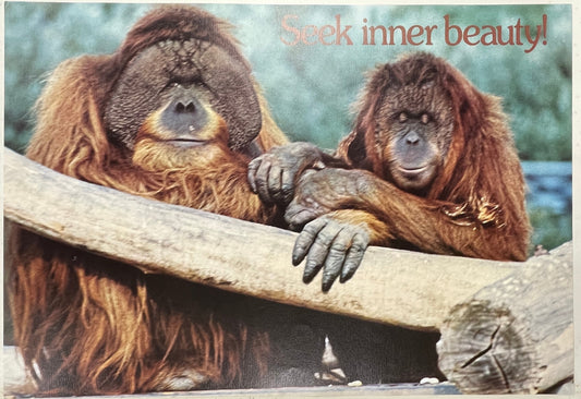 Seek Inner Beauty., vintage Argus Communications Motivational Poster #2155
