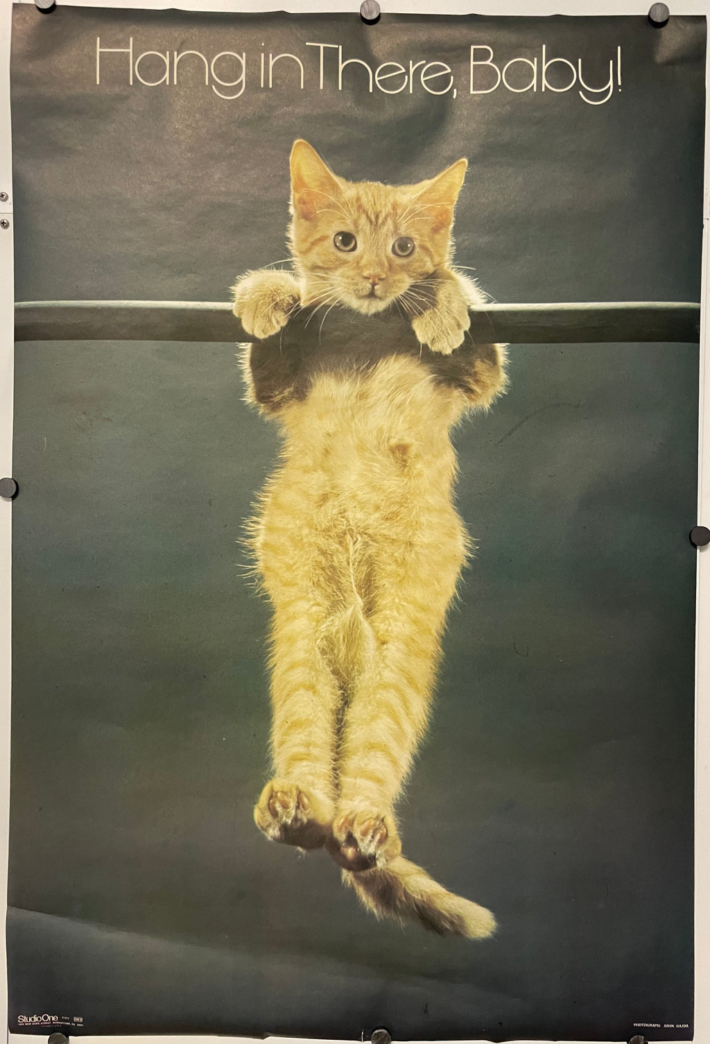 Hang In There, Baby!, (#983) vintage Motivational Commercial Poster, 1972