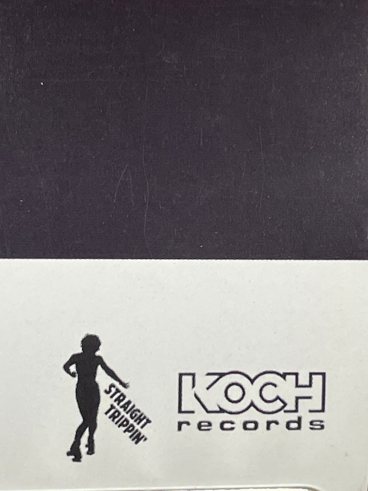 Tim Burgess - I Believe, album promo poster, 2005