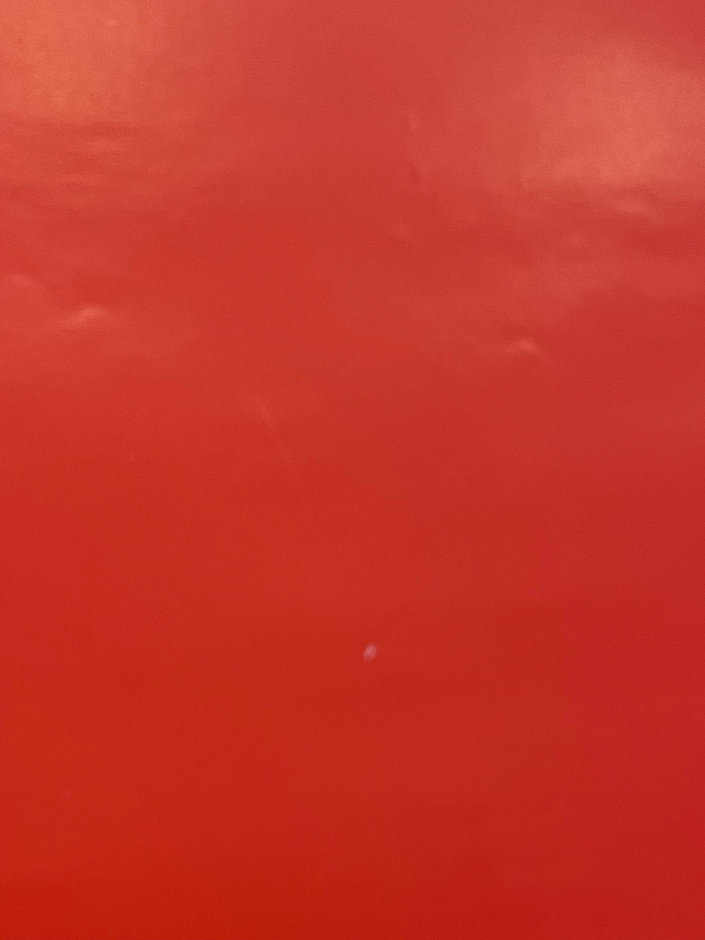 The Jon Spencer Blues Explosion- ACME, vintage album promo poster, 1998