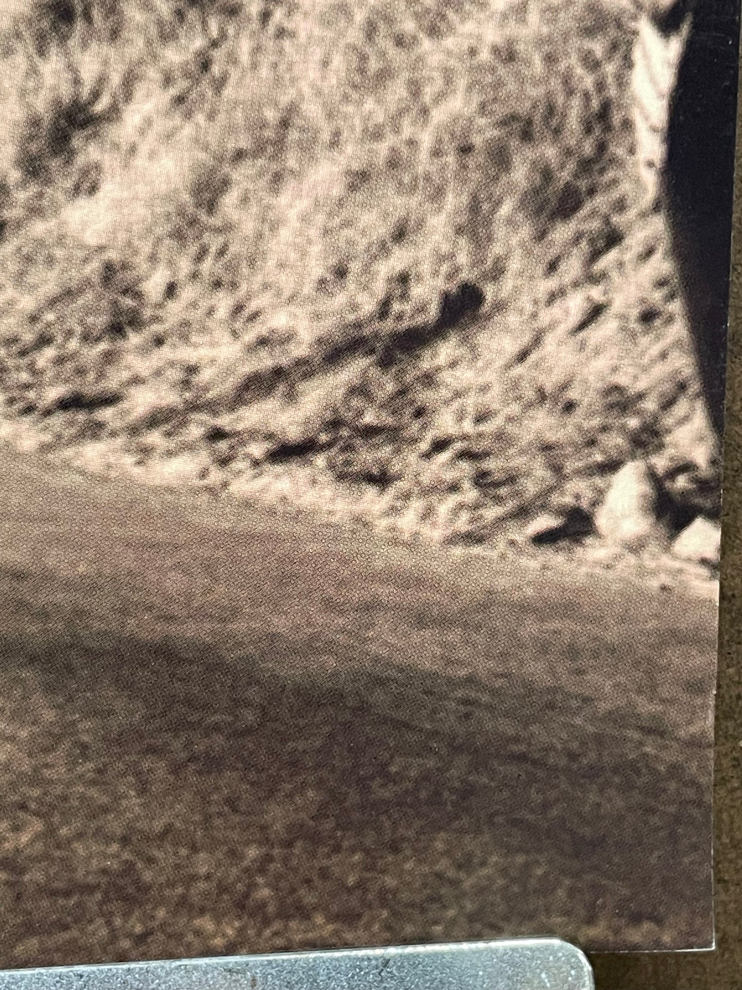 Brother Cane, vintage album promo poster, 1993