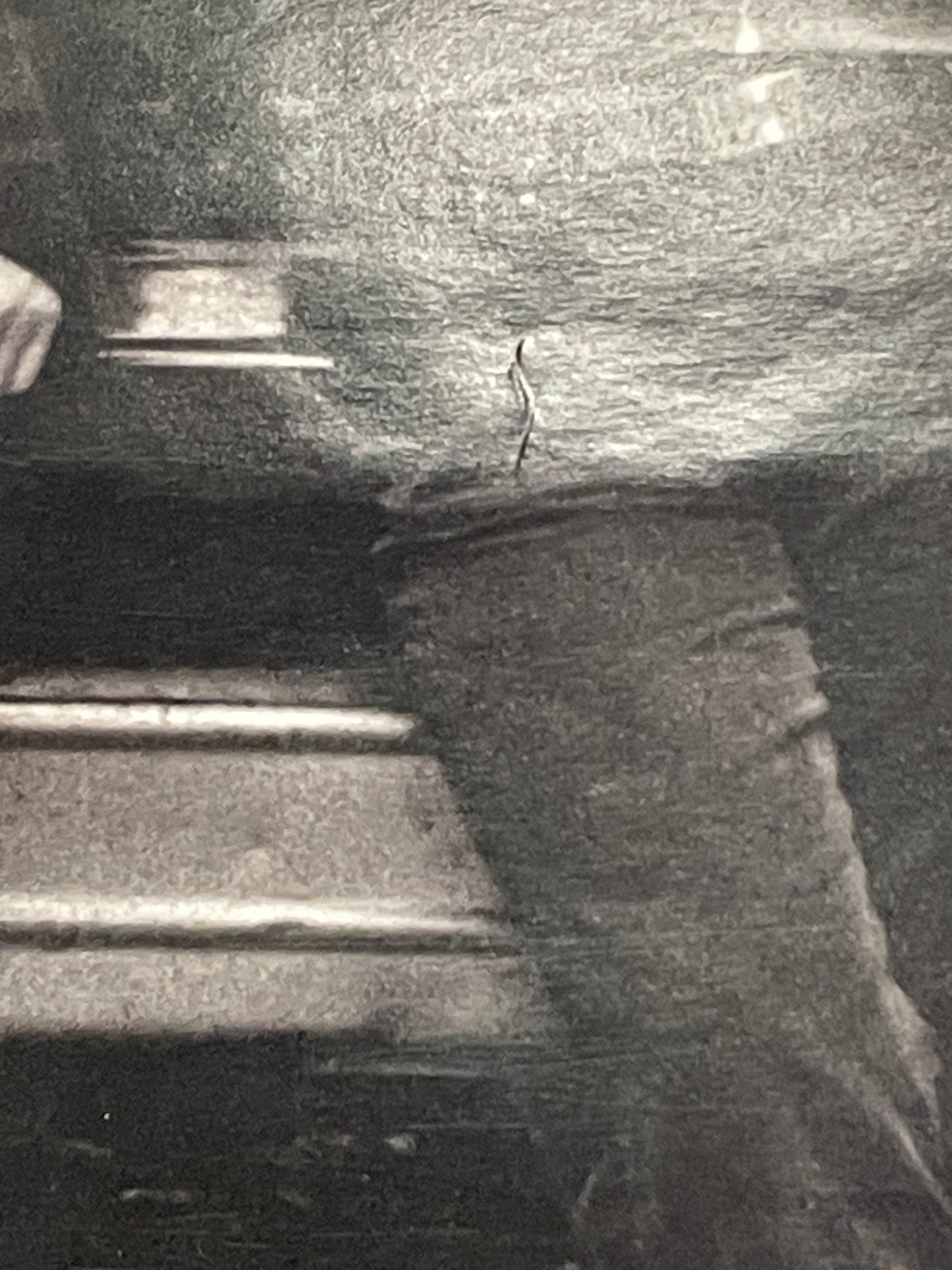 The Thrills, album promo poster, 2003