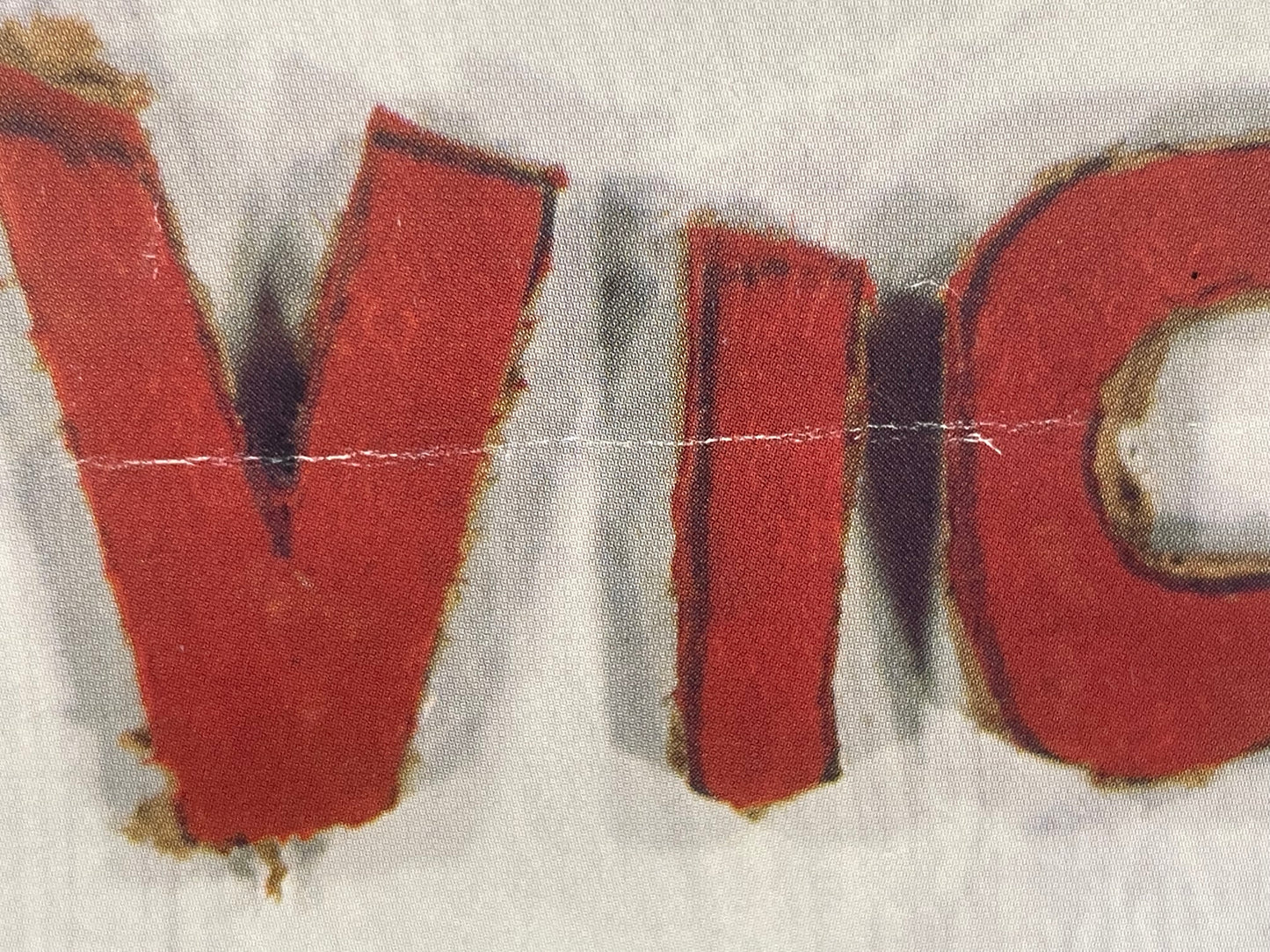 The Salesman and Bernadette by Vic Chesnutt, vintage album promo, 1998