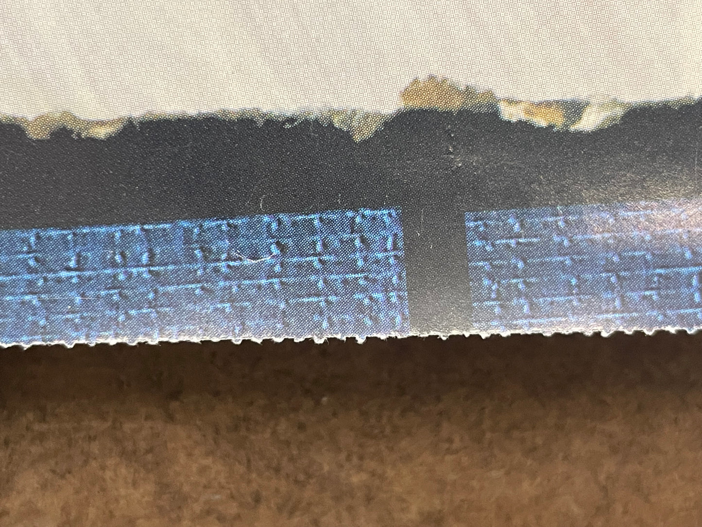 The Salesman and Bernadette by Vic Chesnutt, vintage album promo, 1998