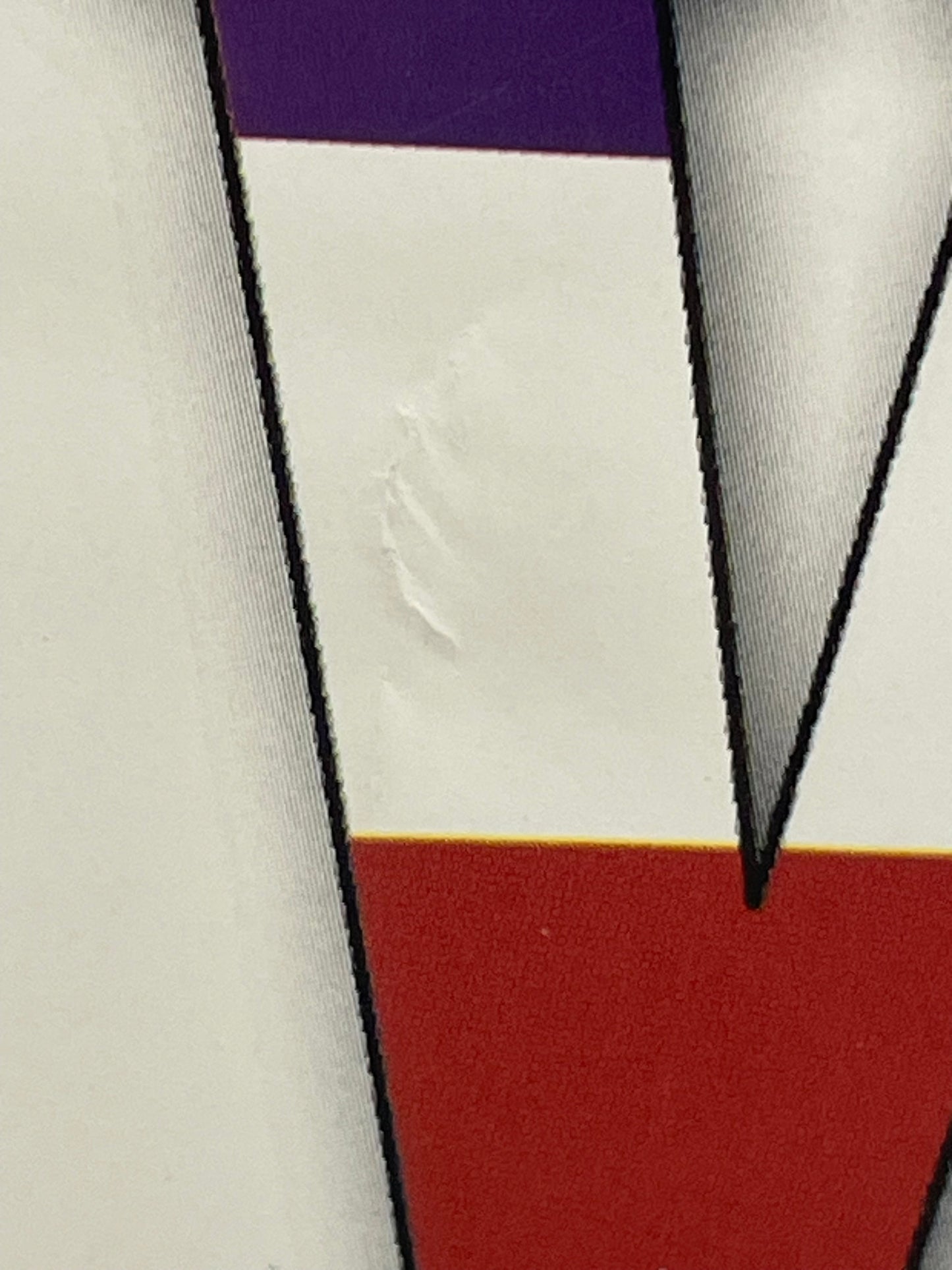 El Vez for Prez-Endless Revolution promo, 2004