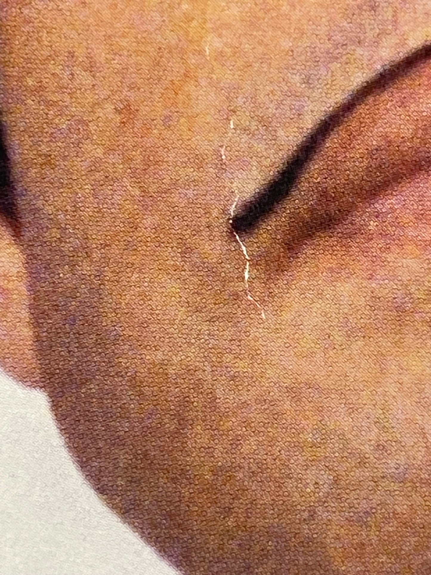 El Vez for Prez-Endless Revolution promo, 2004