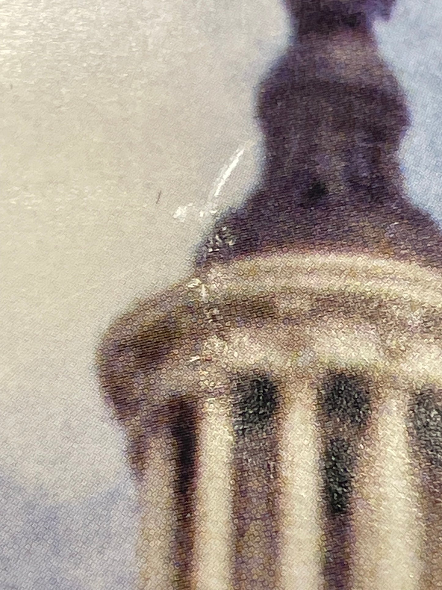 El Vez for Prez-Endless Revolution promo, 2004