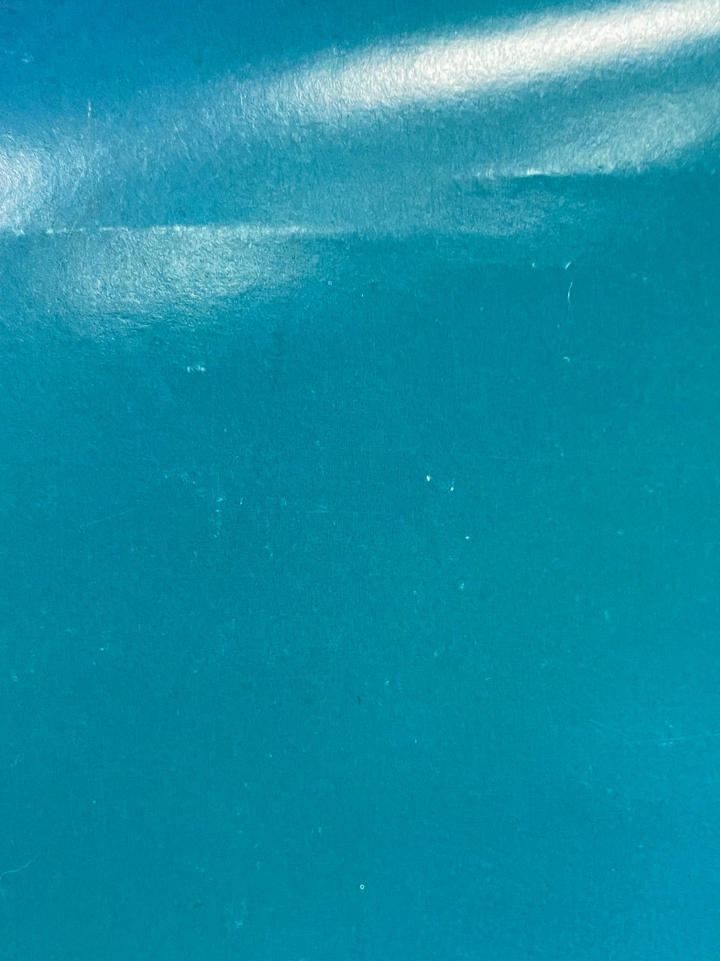 The Charlatans UK, double-sided promo poster, 2007