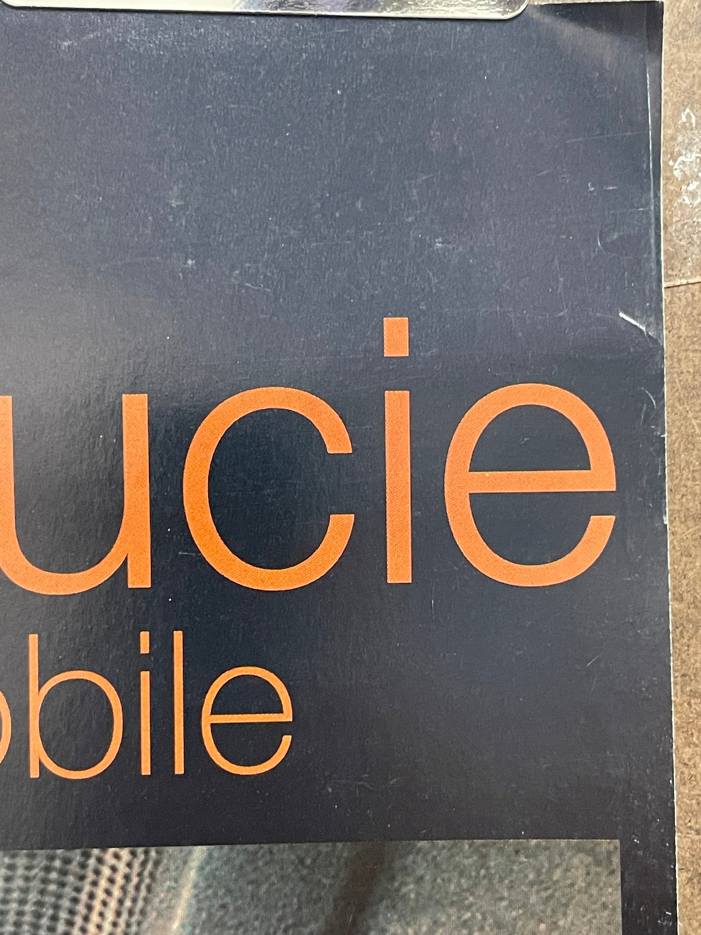 Autour de Lucie - Immobile, vintage promo poster, 1998